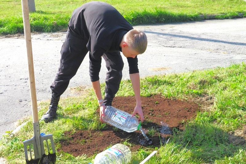 Фото - Цветочно-кедровые акции ЕВРАЗа в Качканаре: посмотрите, как здорово получилось!